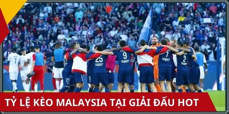 Top các giải đấu được cập nhật tỷ lệ kèo Malaysia sớm nhất