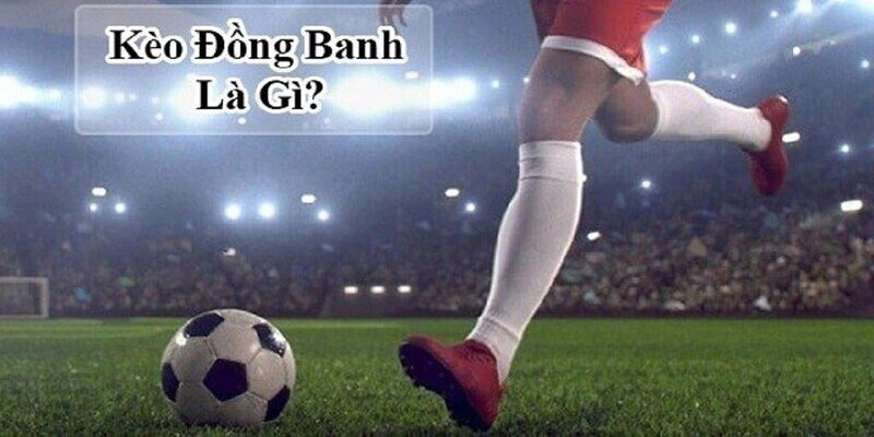 Kèo Đồng Banh Là Gì? Khám Phá Cách Đọc Kèo Chuẩn Khi Cá Cược